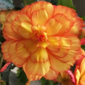 Meet your Posher, Gail